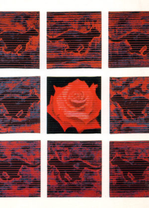 Pantera rosa